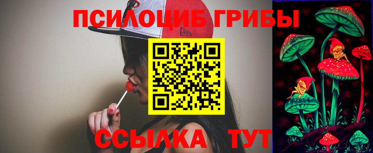 Чехов  Галлюциногенные грибы Psilocybine cubensis  Вход с VPN 